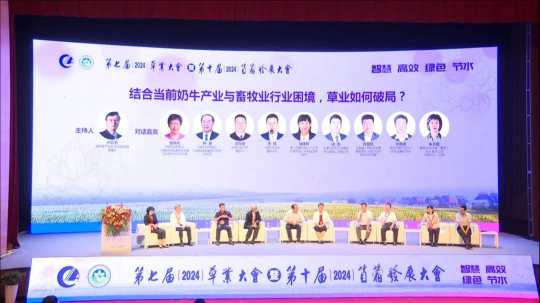 NG娱乐