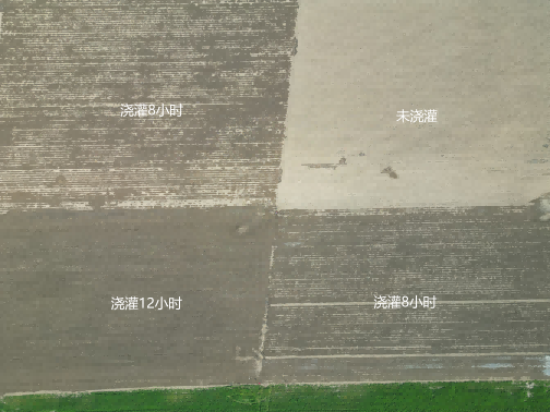 NG娱乐