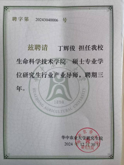 NG娱乐