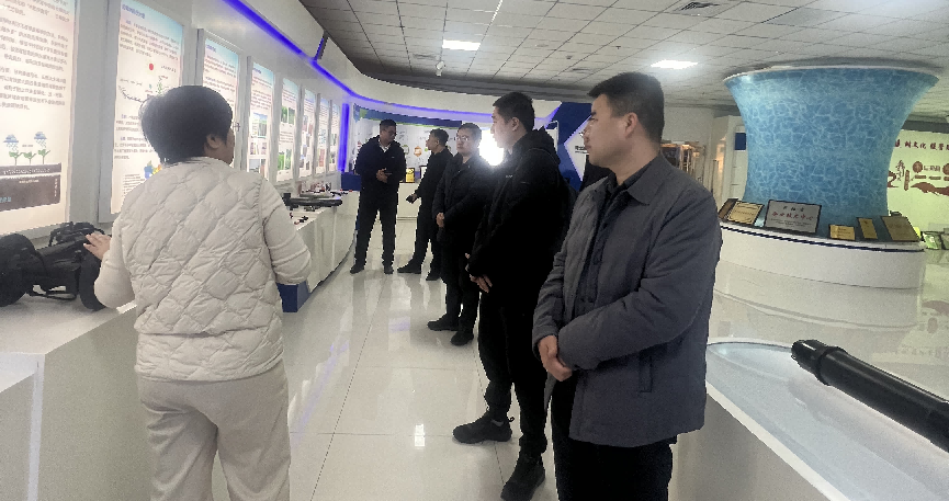 NG娱乐