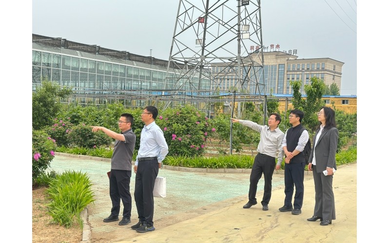 河北证监局监管处领导莅临NG娱乐开展例行走访调研，指导公司高质量发展